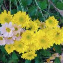 사봉농장 이미지