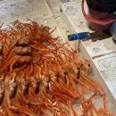 셀픽스경산점 | 5월, 시험기간? 팀플기간!