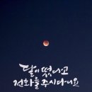 달이 떴다고 전화를 주시다니요 이미지