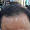 헤어드레서홍