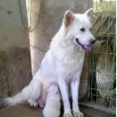 창신농장 이미지