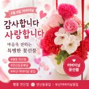 부산경상대학교 | ​💐 이번 어버이날은 특별하게! 연산동꽃집 별꽃에서 준비한 분홍 카네이션 화병 &amp; 이벤트 장미꽃 선물 후기