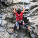 얼룩빼기이박사 이미지