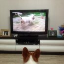 노엘농장 이미지