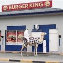 카타르 버거킹 드라이브스루 이미지