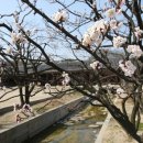 창경궁 홍화문 옆 이미지