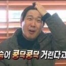 쎄짐 이미지