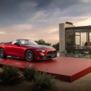 Body picnic 이미지