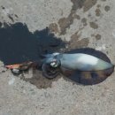 영등 발전소 이미지