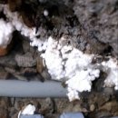 월평새뜸로 이미지