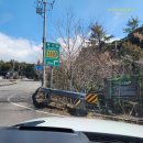 남원읍 하례리 286-14 | 제주도에 이런 곳이? 힐링여행 고사리 숲길, 알고 가면 더 좋은 이유!