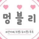 멍블리 애견카페 네이버블로그