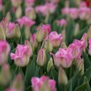 여름방학 교육프로그램 이미지