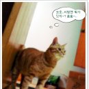 서일사우나 이미지