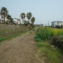 서귀포우리공인중개사사무소 이미지