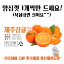 정관장태권도장 이미지