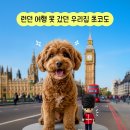 AI를 활용한 인스타그램 마케팅 활용법 이미지