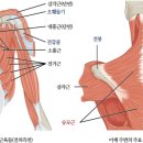 바르다유한의원 이미지