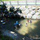 도봉-도봉-2107 이미지