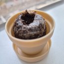 선인장 | 미니어처 가든 선인장 가챠 후기