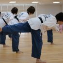 실버태권도 이미지