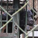 웅담농장 이미지