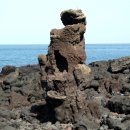 제주 비양도 호니토 이미지