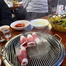 5165 | 화곡 한우포차 화곡점 후기｜차돌박이 맛·가격·주차정보 총정리