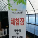 이철희농장 이미지