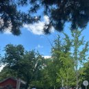 경기전 여행자 라운지 화장실 | [전주/ 경기전 무료 짐보관소] 경기전 무료 짐보관, 화장실, 경기전여행자라운지