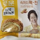 지에스(GS)25 성주산단점 | 혜자로운 소보로 땅콩크림빵 GS25 신상 가격 칼로리 내돈내산 후기