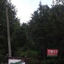 심광사 목조석가모니불좌상 이미지