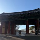 전통한옥 | 남산골한옥마을 전통혼례 상담 후기 🎎 도심 속 한옥 웨딩의 장단점 총정리(주차/우천 시)