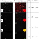 EVs를 Membrane dye[Cell Mask Green]로 형광 염색 절차 및 Zetaview®를 이용한 분석 절차 이미지