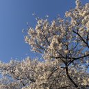 주식회사 고비즈 이미지