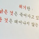 (주)앤드와이즈 네이버블로그