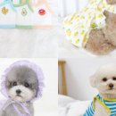 견생묭실 이미지