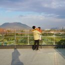 중앙공원 화장실 이미지