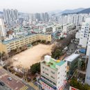 주원초 국제신문