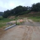 남양행정사사무소 이미지