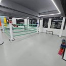 보문복싱 이미지