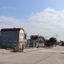 수목화를 그리는 송정마을 이미지