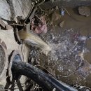 바로준설 이미지