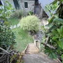 막다른 둥지 이미지