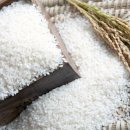 현대정미소 이미지