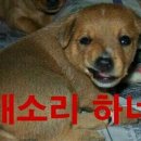 바이주현