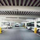 궁전라벤더 이미지