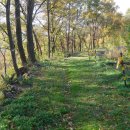 관호산성둘레길 이미지