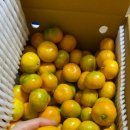 참좋은몰 이미지