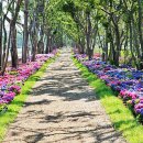 신안축구장 축구장 이미지